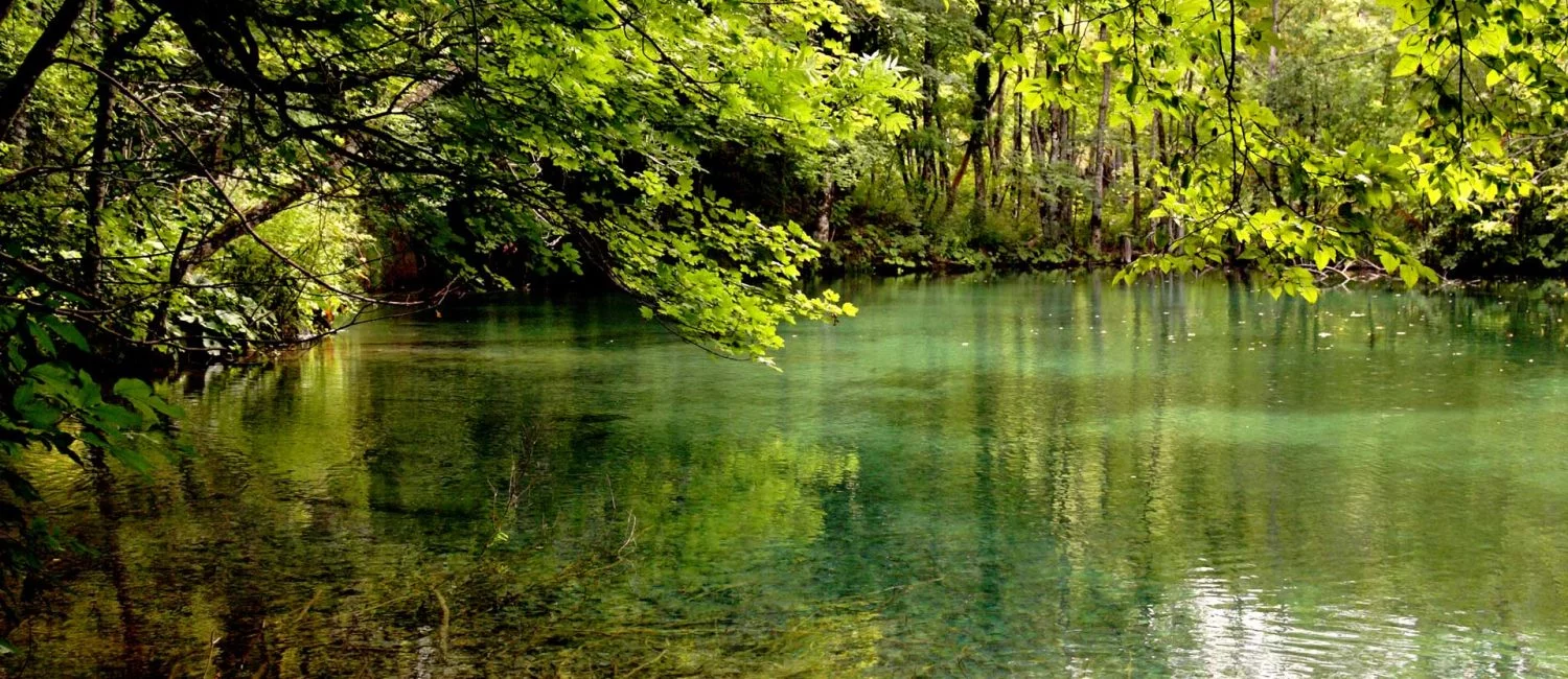 conseil municipal, photo de rive d'un lac